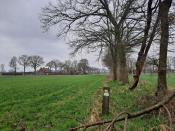 Grenssteen 544