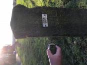Grenssteen 603