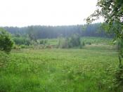 Omgeving