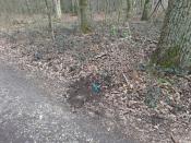 Locatie