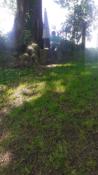 Actiefoto