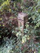 Grens paal