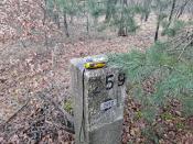 Grenssteen 259-D
