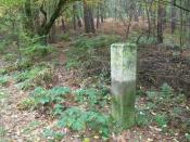 Grenspaal NRW_313