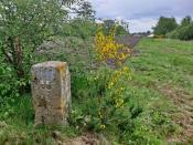 Grenssteen 102