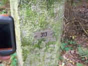 Grenspaalnummer en GPS