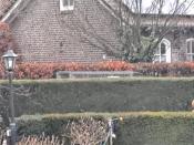 Grenssteen 576