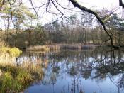 mooi watertje