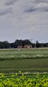 Grenspaal 121 (B)