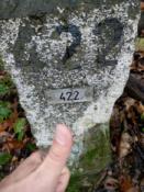 Logfoto OB18DF