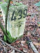 Logfoto OB1919
