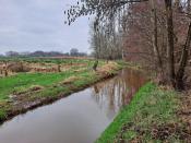 Grenssteen 546