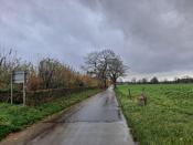 Grenspaal 16-A