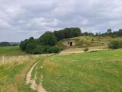 Omgeving