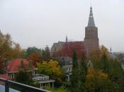 Mistig in de Herfst