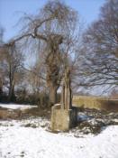 beeld3