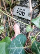 Logfoto OB194B