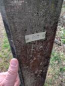 Grenssteen 801 - Logproof