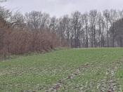 Grenssteen 277-A, op de hoek