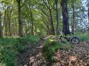 Grenspaal 206-C (locatie)