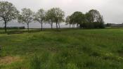 In de buurt van de cache