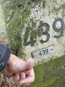 Logfoto OB1918