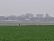 Midden in de akker