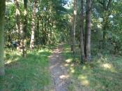 ruiter-/ wandelpad