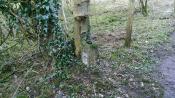 NRW_201-A