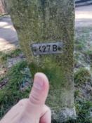 Logfoto OB18F2