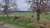 Grenssteen 142-A