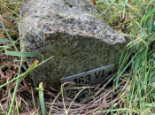 163-VI