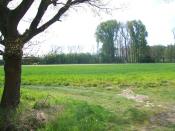 Mooie omgeving