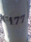 177