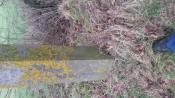 paal 3
