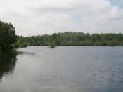 Mooi watertje