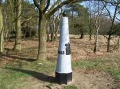 Mooie omgeving