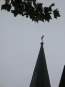RD meetpunt  51030202