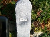 Gressteen tussen andere stenen