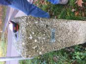 Grenssteen 602