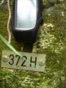 372-H