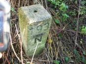 In natuurstrookje