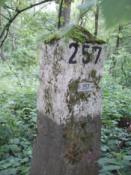 paal257