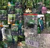 FTF Collage NRW