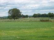 Omgeving