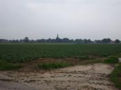 mijn afbeelding