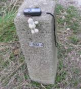 Grenzstein 602 mit Landschildkroete und GPS