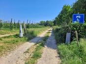 Grenspaal 29 + grenspaal Eijsden-Margraten