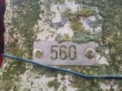 Grenssteen 560