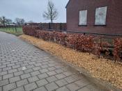 Grenssteen 569-A (NL)